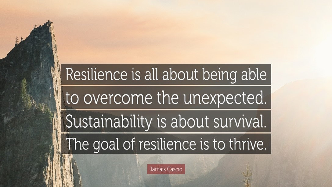 Welcome to Resilience Professionals Blog – All about Business Resilience