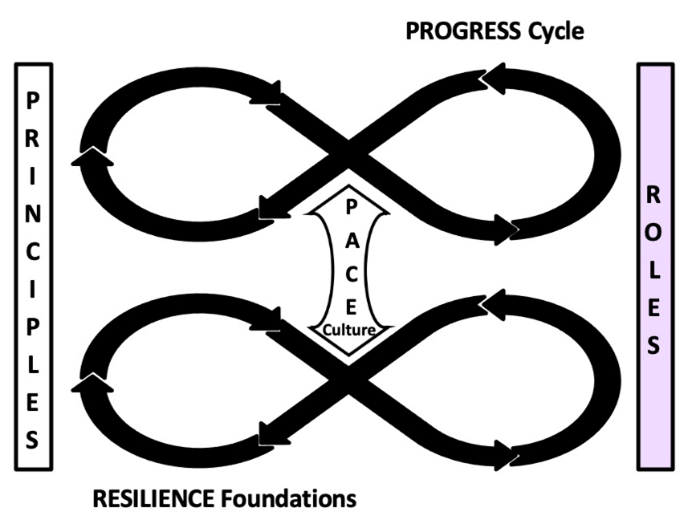 Choosing a PURE Strategy to improve the level of Business Resilience of our organization